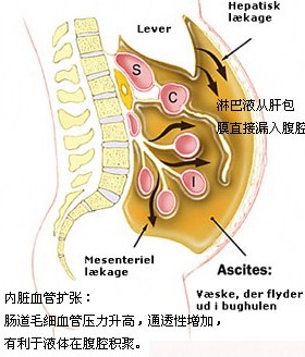 2-1103241640160-L.jpg