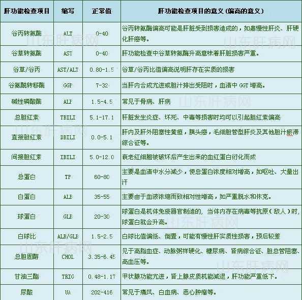 2010052502.jpg